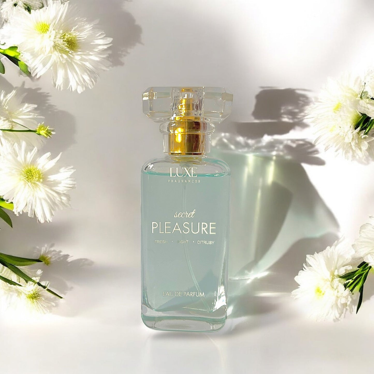 Secret PLEASURE